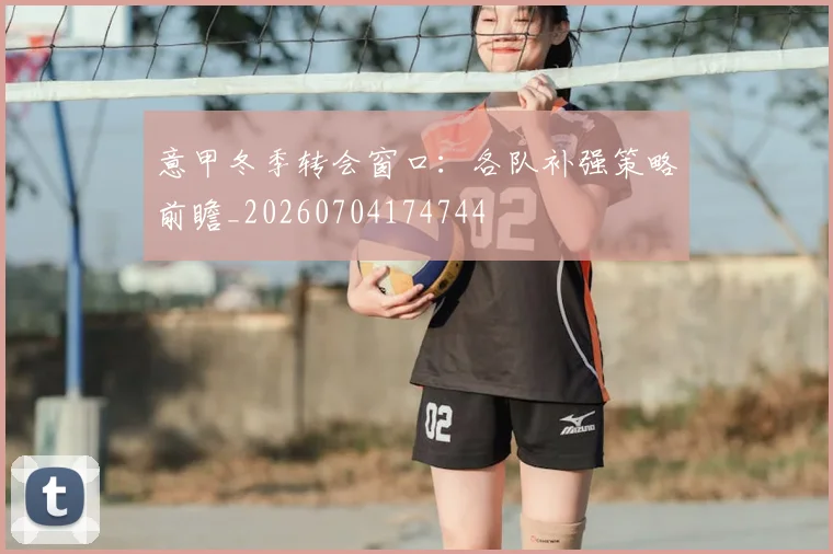 意甲冬季转会窗口：各队补强策略前瞻_20260704174744